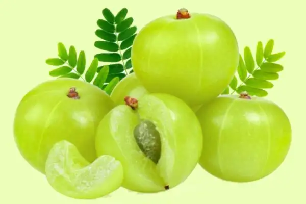 AAMLA