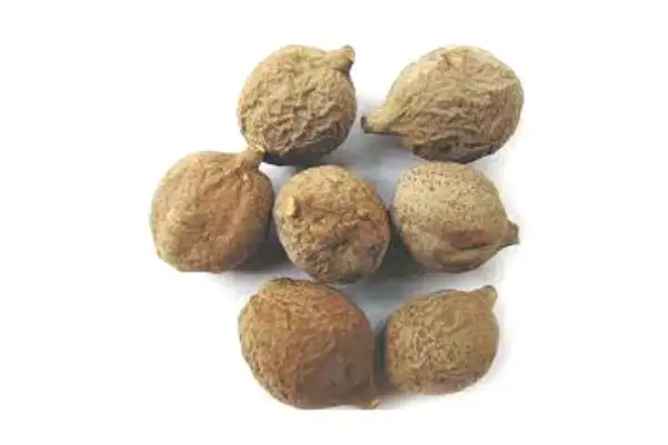 BALELA